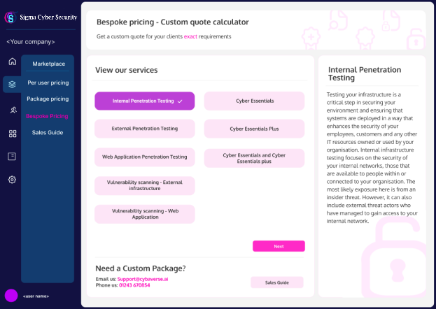 An image of the penetration testing dashboard